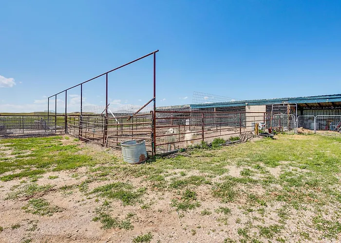 Pet Friendly 'daydreamers Guest Ranch' On 60 Acres Lingle